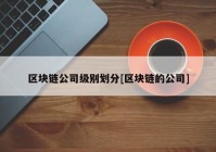 区块链公司级别划分[区块链的公司]